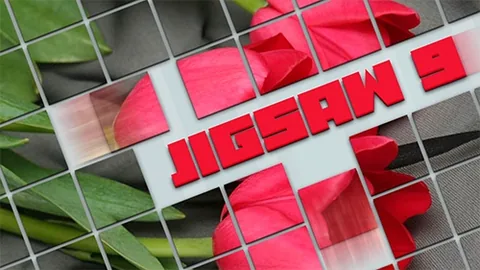 Jigsaw 9, a CogniFit training task