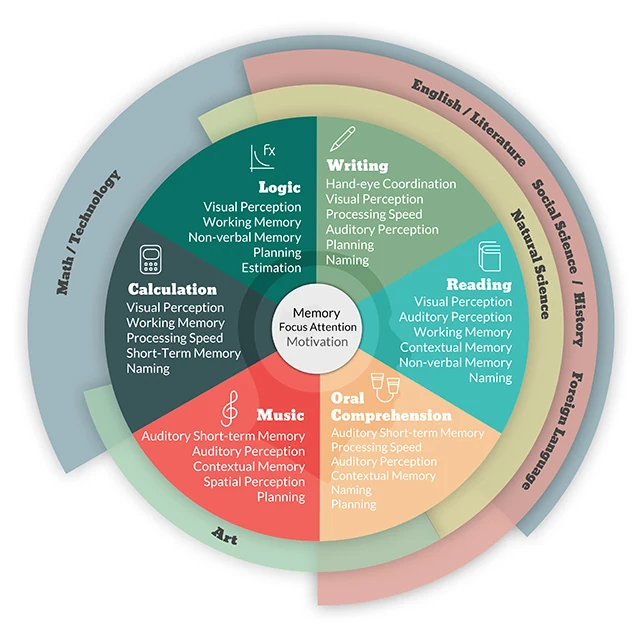 Diagram of the cognitive skills behind school subjects: calculation, logic, writing, reading, oral comprehension and music, around memory, attention and motivation